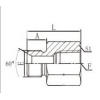 5BT-04,5BT-04-08,5BT-06,5BT-08,5BT-12,5BT-16,5BT-20,5BT-24,內(nèi)螺紋接頭