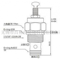 CCN-162-LAN,CCN-162-LCN,CCN-162-LEV,CCN-162-KAN,CCN-162-KEV,CCN-162-LEN,CCN-162-LAV,CCN-162-LCV,CCN-162-KCN, CCN-162-KEN,CCN-162-KAV,CCN-162-KCV,單向閥(口1通口2自由流,附調(diào)整桿)